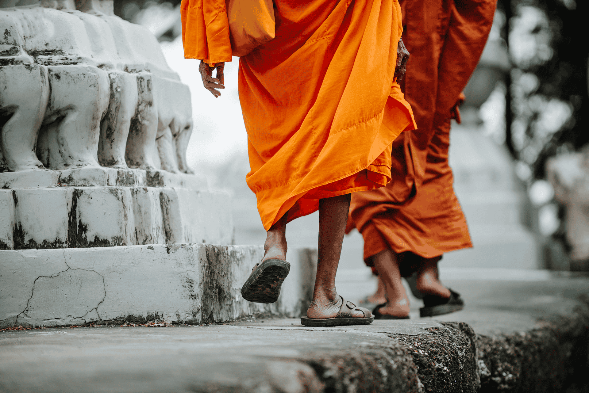 Two Buddhist monks